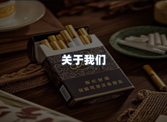 专业团队